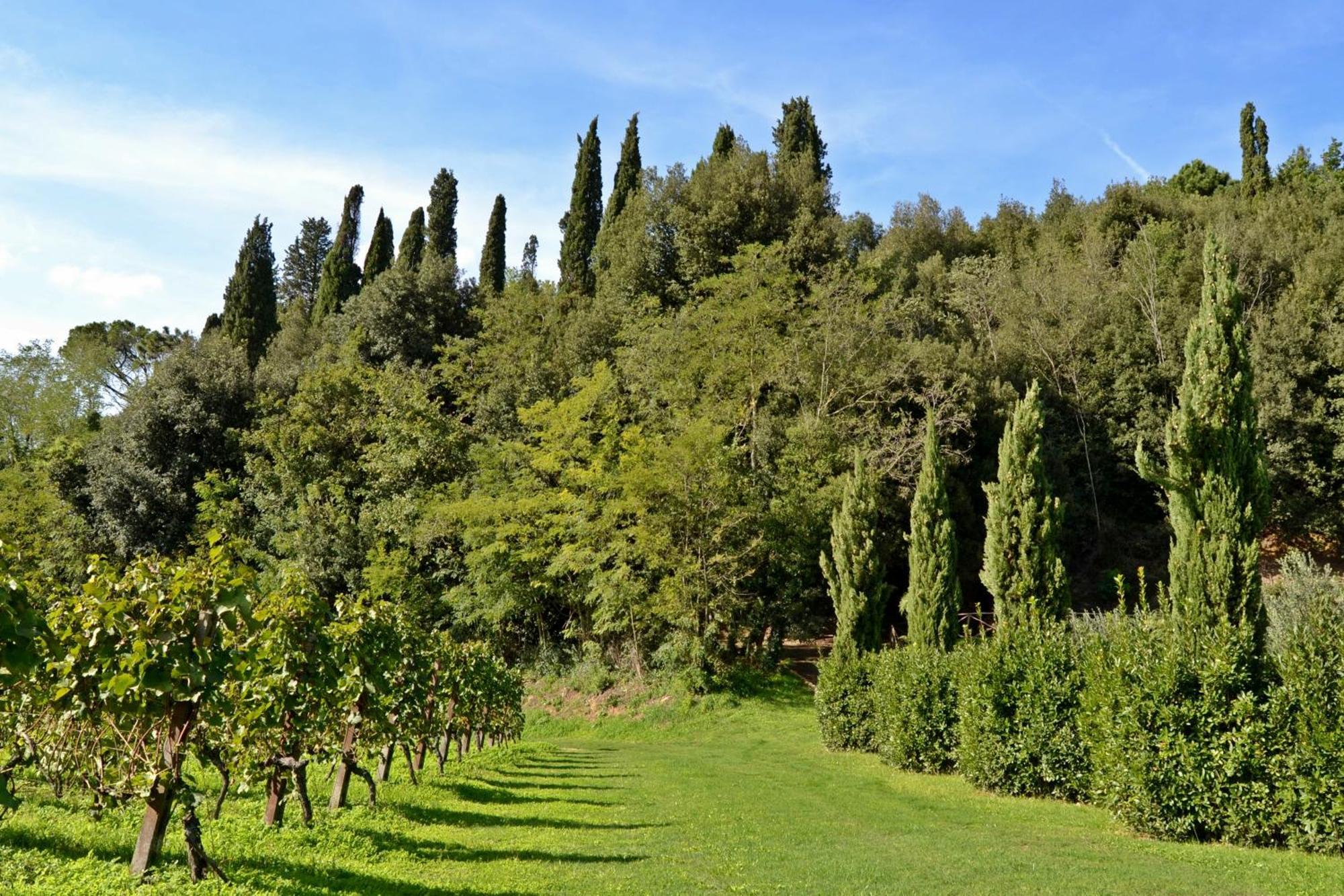 Lari Cevoli Country Resort מראה חיצוני תמונה