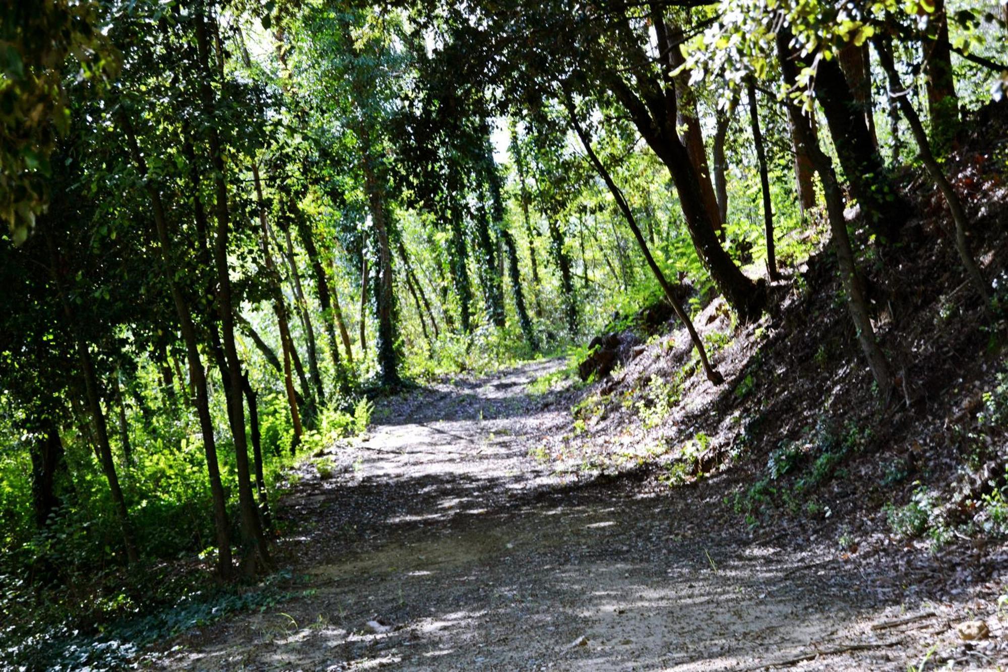 Lari Cevoli Country Resort מראה חיצוני תמונה