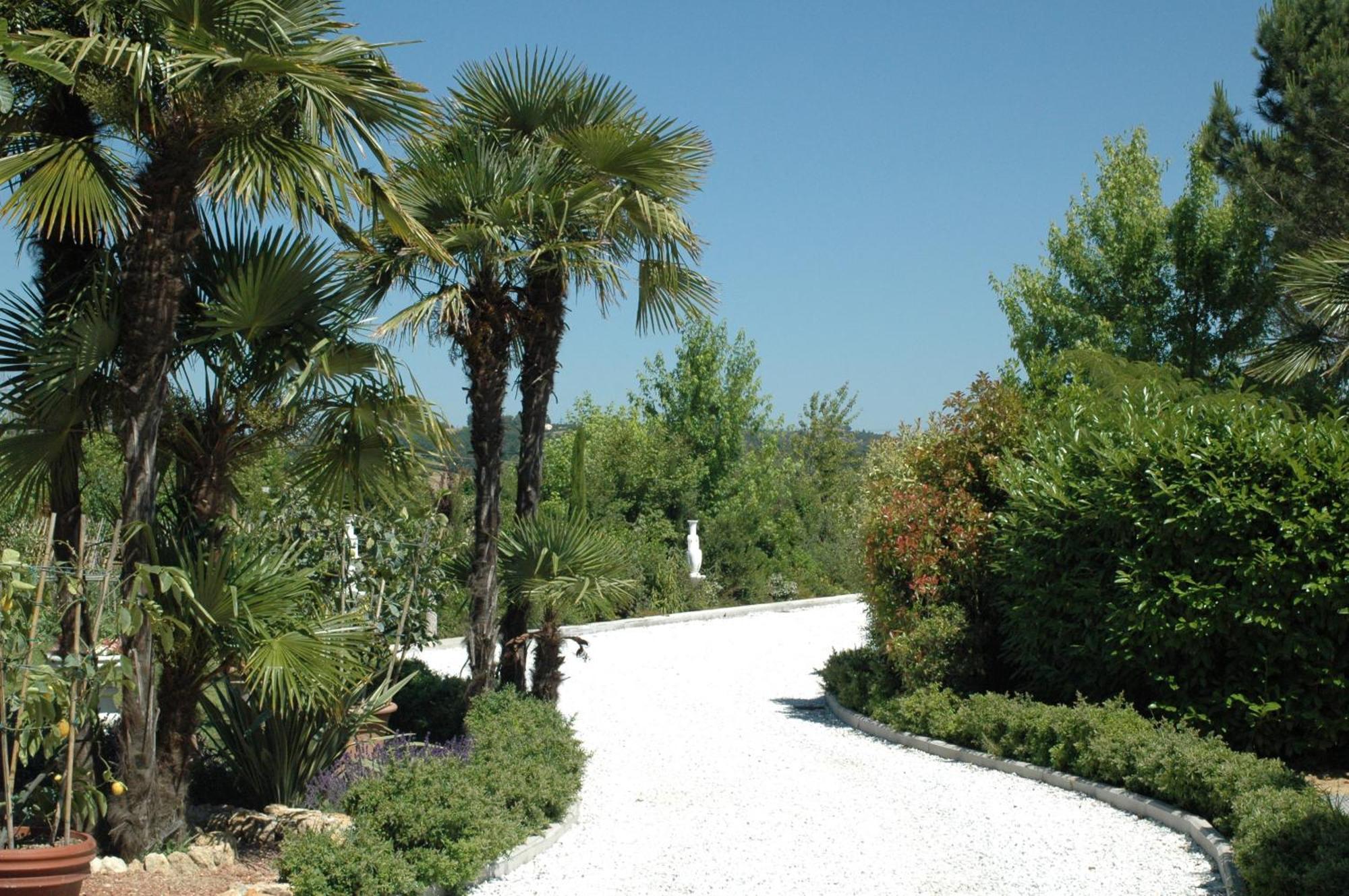 Lari Cevoli Country Resort מראה חיצוני תמונה