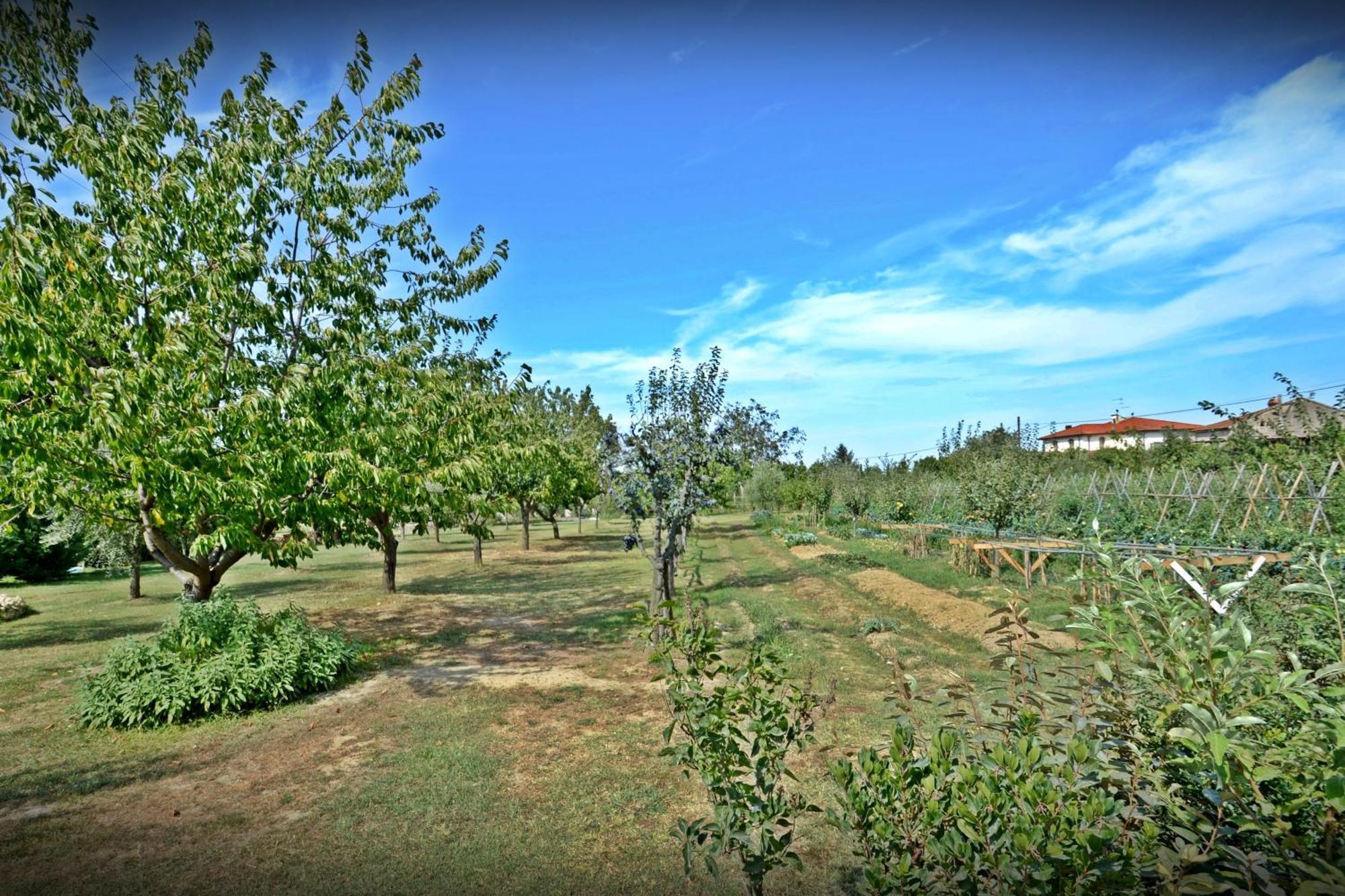 Lari Cevoli Country Resort מראה חיצוני תמונה