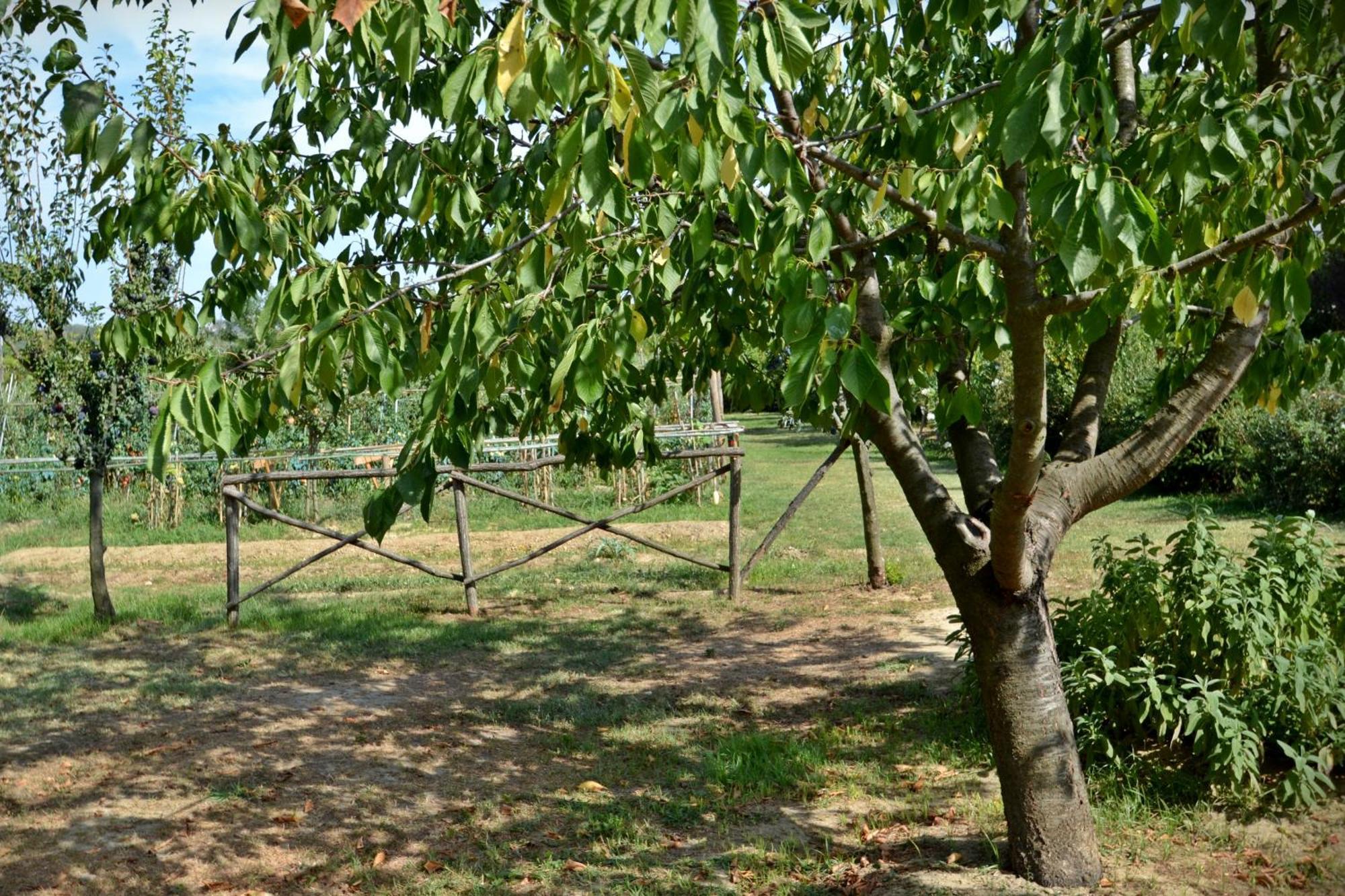 Lari Cevoli Country Resort מראה חיצוני תמונה
